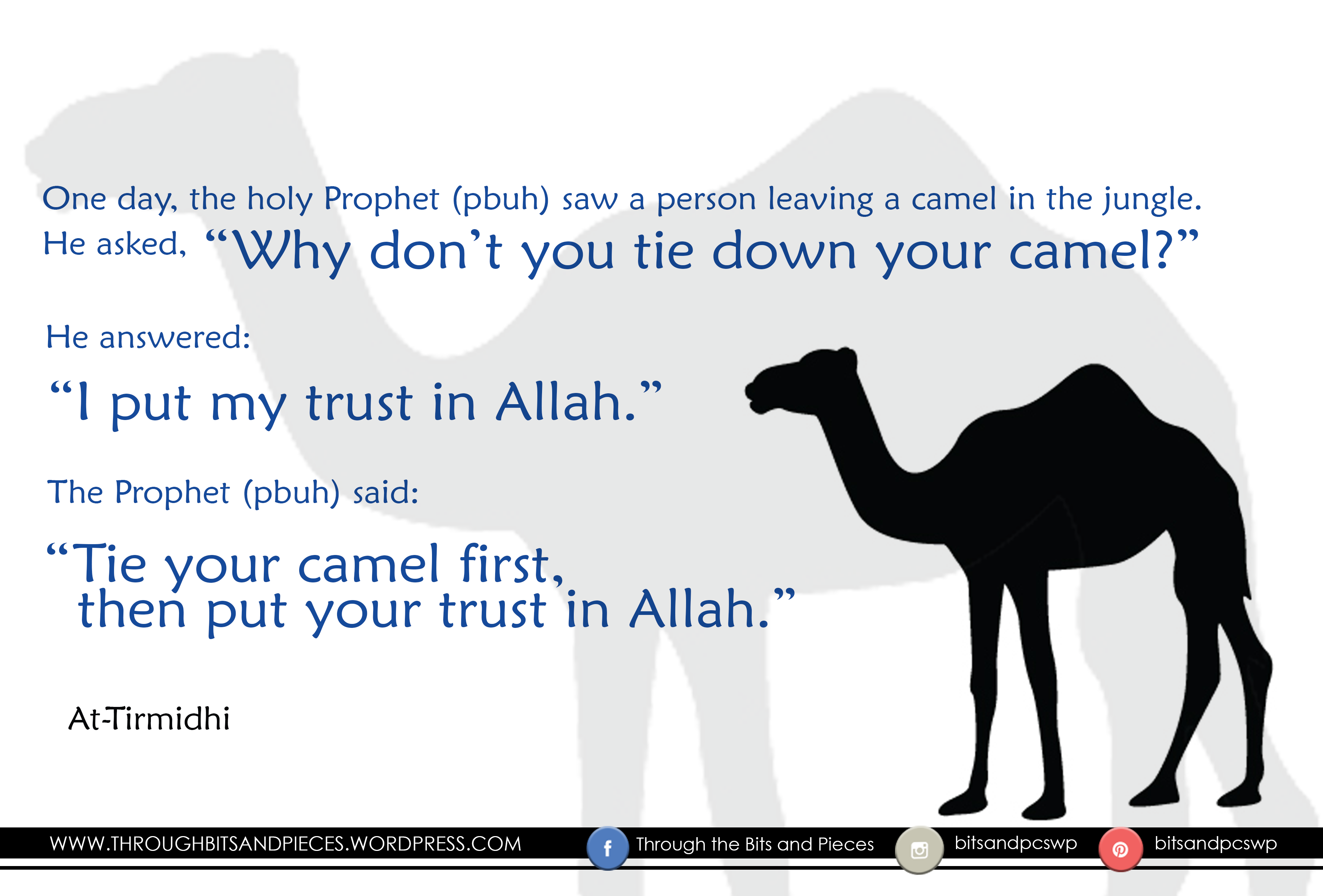 Tie your camel hadith